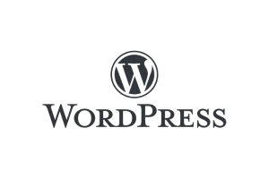 Dandicom-wordpress-experts